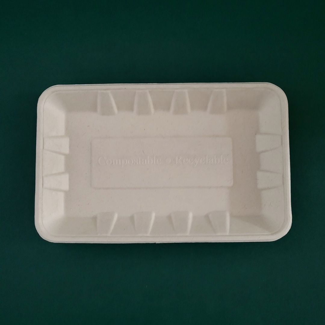 Bagasse 3-Compartment Plate