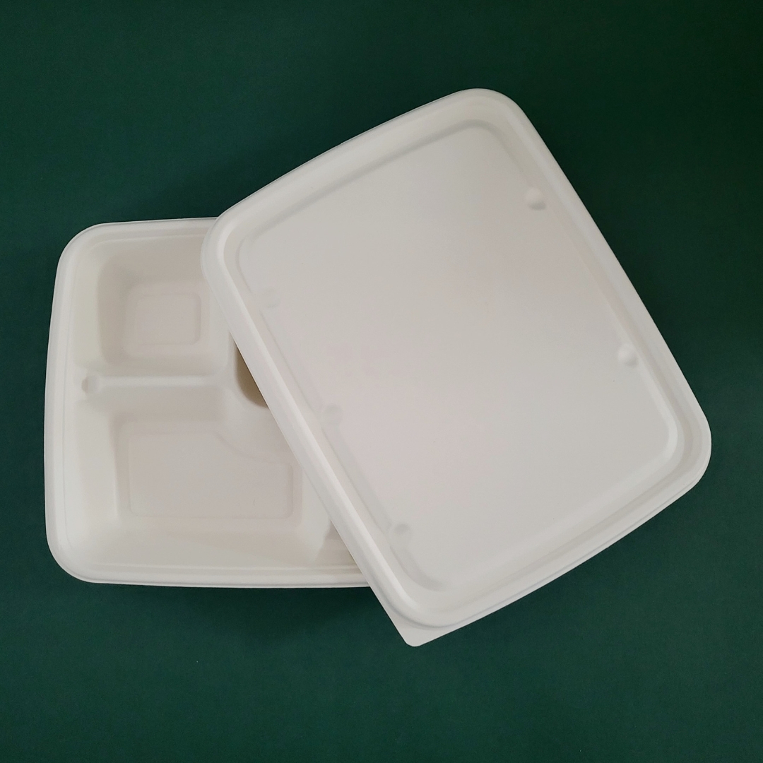 bagasse-5-compartment-tray-mre-ftd041