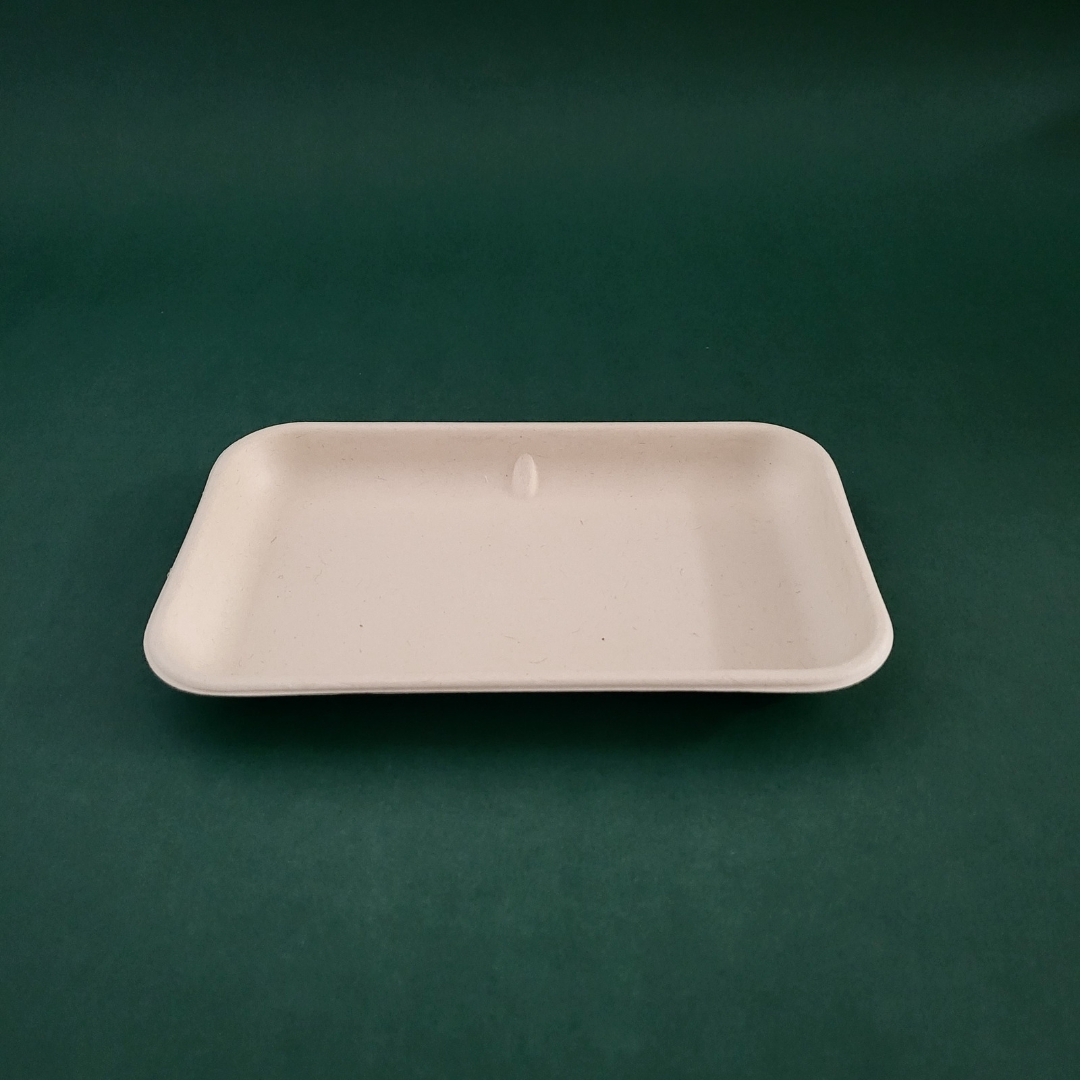 Bagasse Round Plate