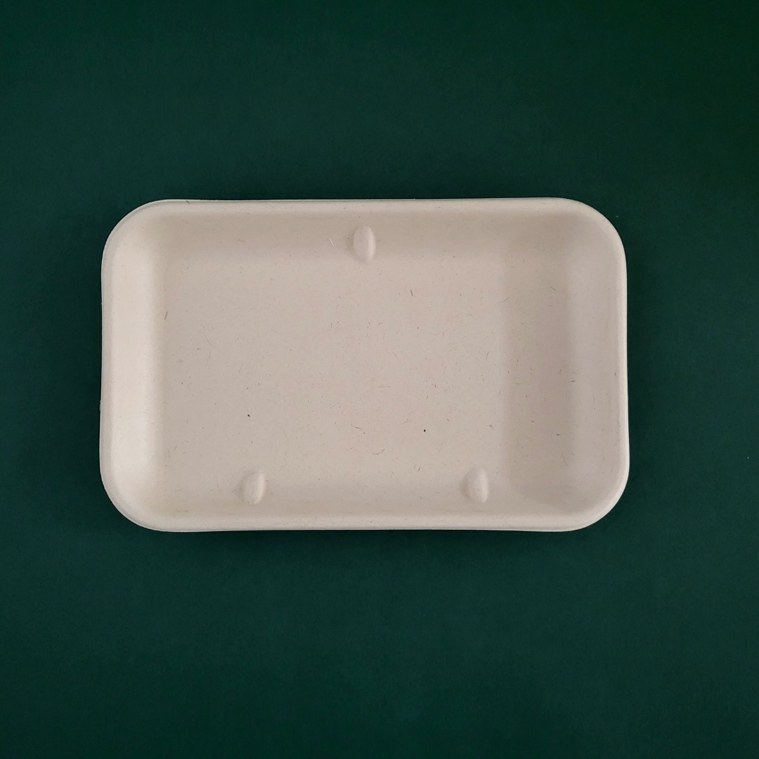 bagasse-round-plate-mre-t01