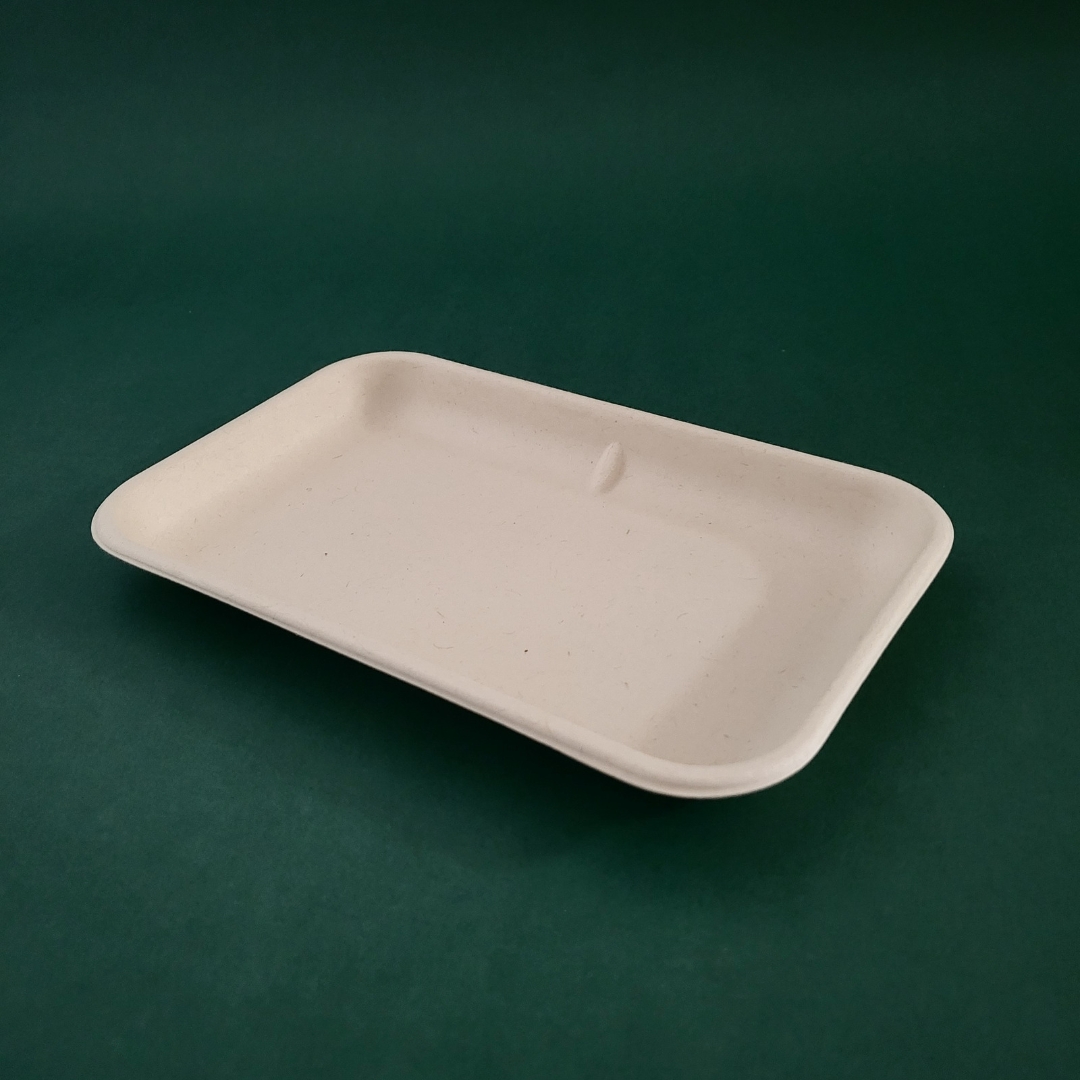 bagasse-round-plate-mre-t01