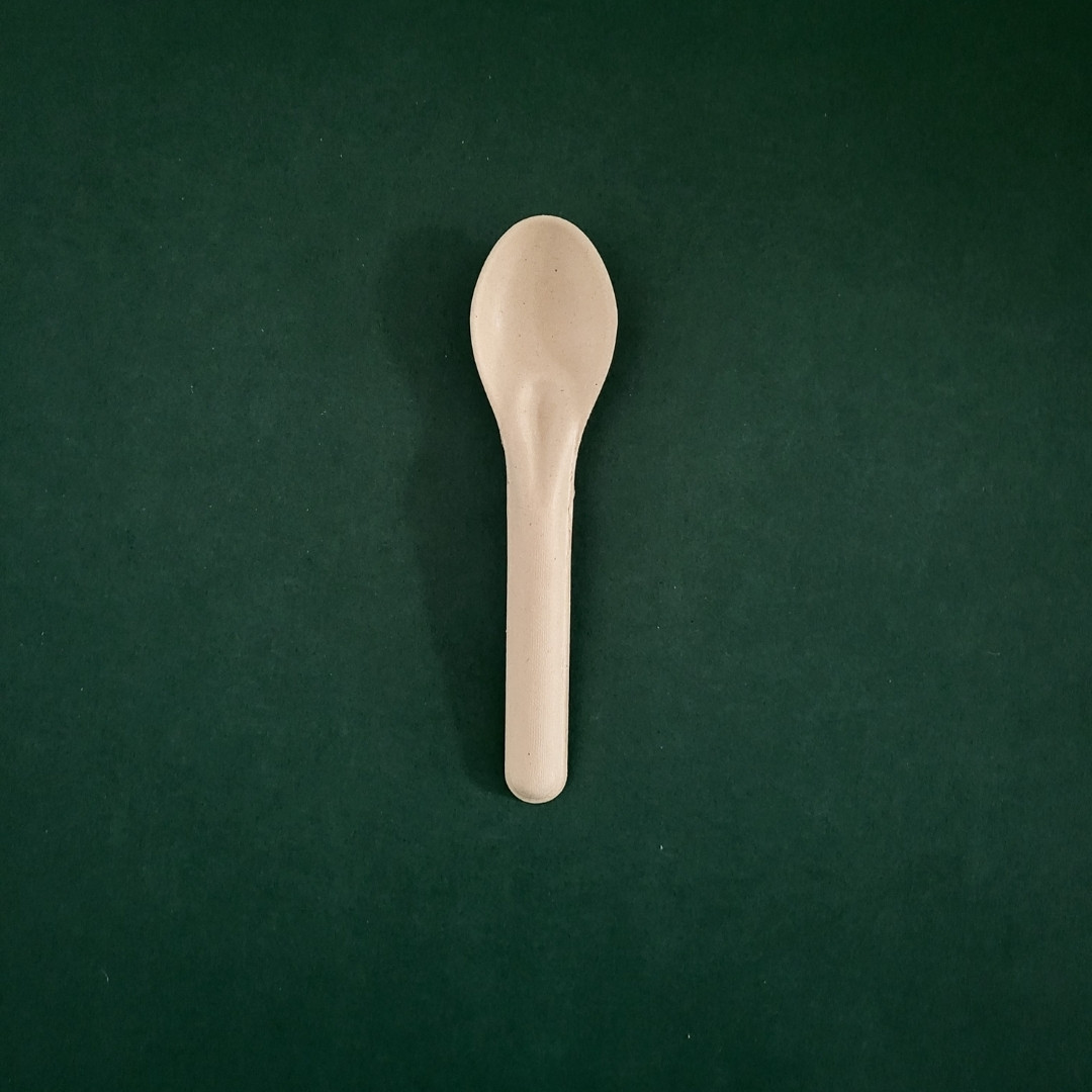 Biodegradable Sugarcane Bagasse spoon
