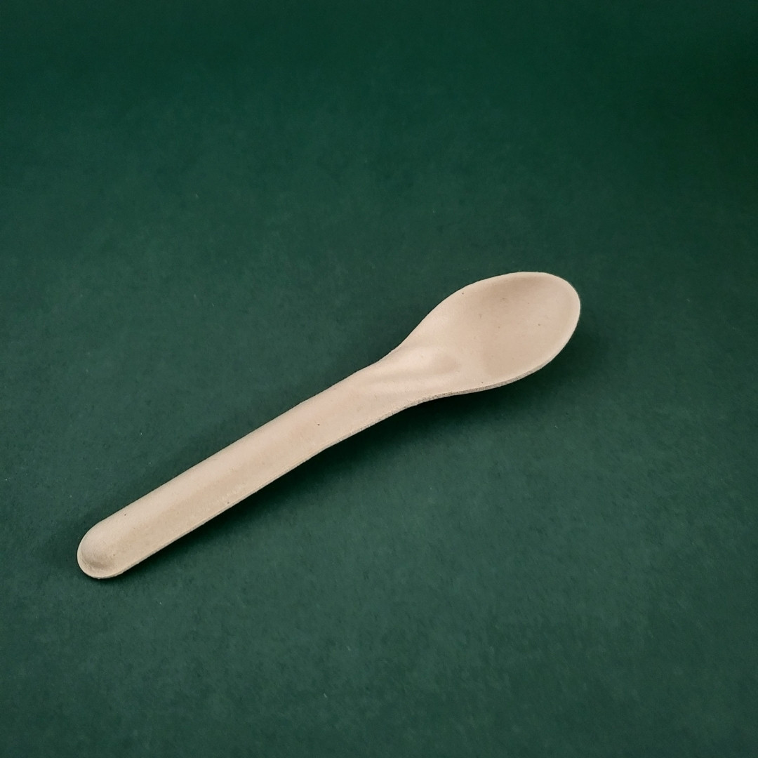 biodegradable-sugarcane-bagasse-spoon-mre-s01