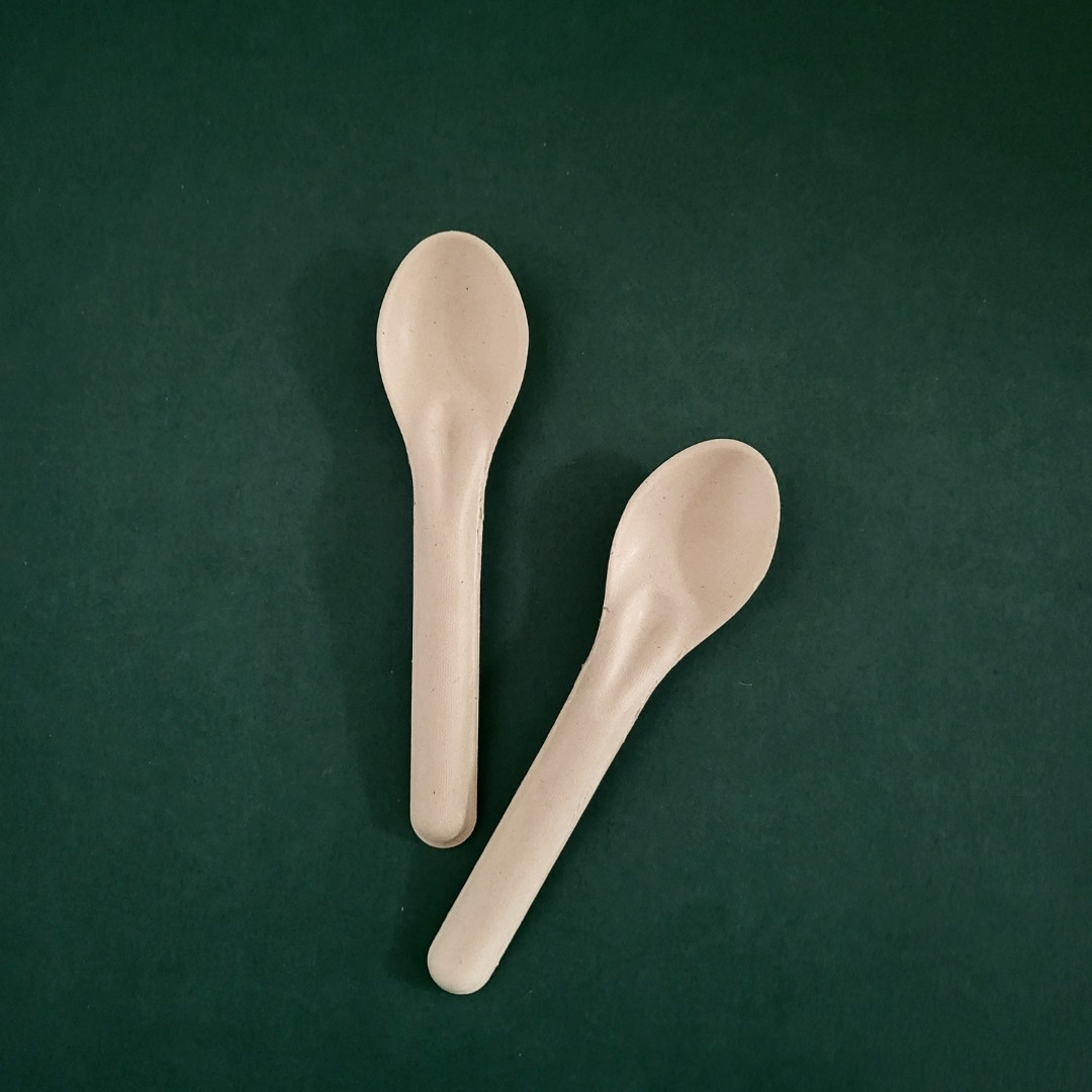 biodegradable-sugarcane-bagasse-spoon-mre-s01