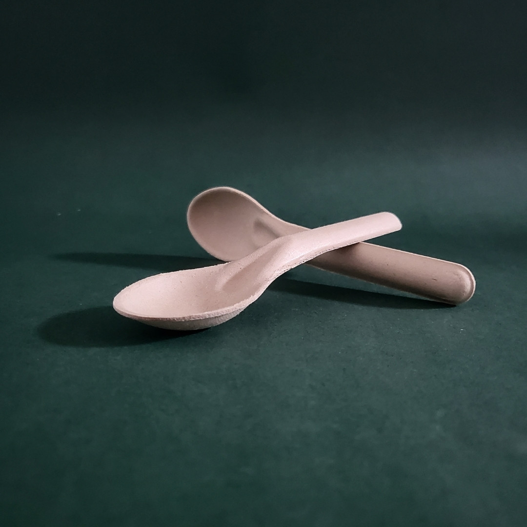 biodegradable-sugarcane-bagasse-spoon-mre-s01