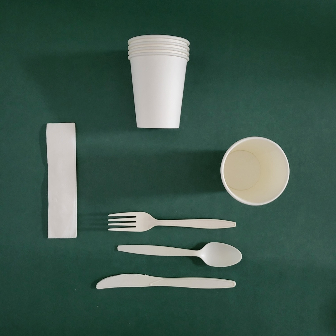 Biodegradeable PlA Plastic cutlery set