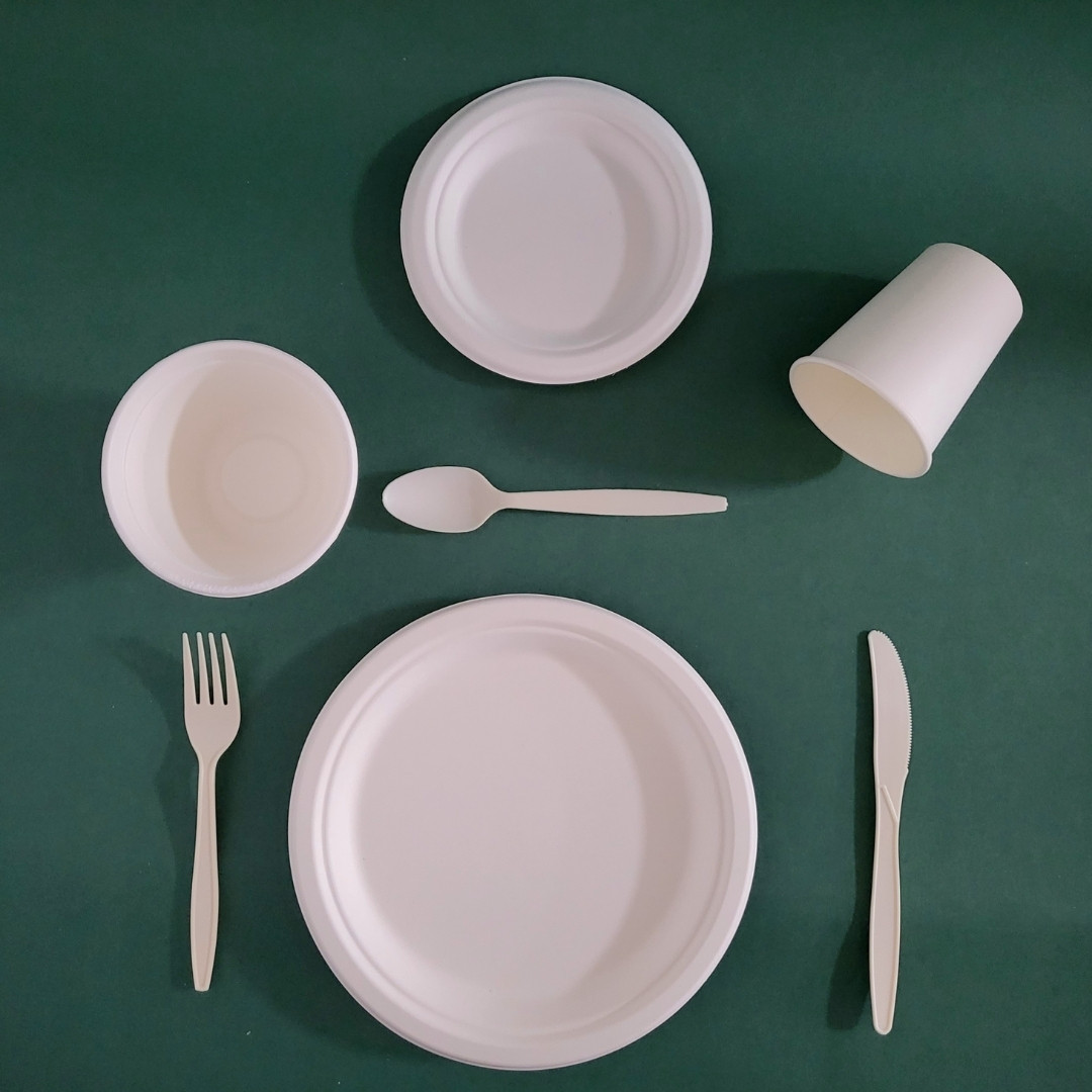 biodegradeable-pla-plastic-cutlery-set-mre-gh073001